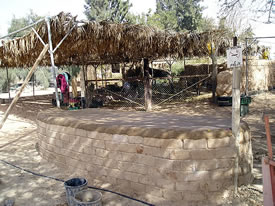 A beautiful dinning table for donkeys 