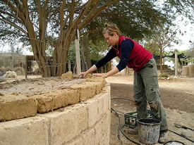 Building the dining table for donkeys 