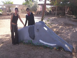 Project Elephand completed