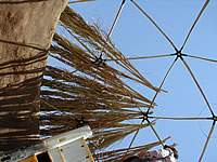 roofing the dome