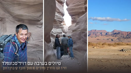 Birding Israel